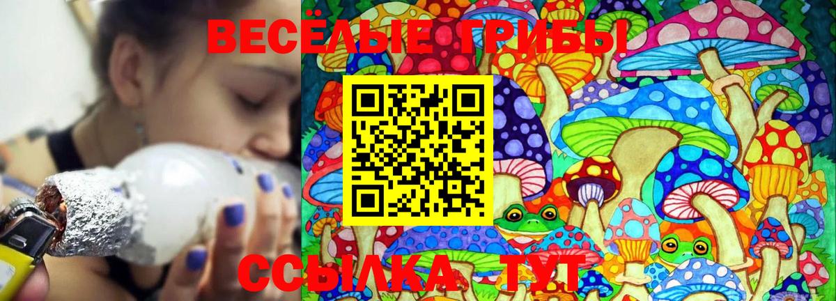 Галлюциногенные грибы MAGIC MUSHROOMS  Вход с VPN  Новоалтайск 