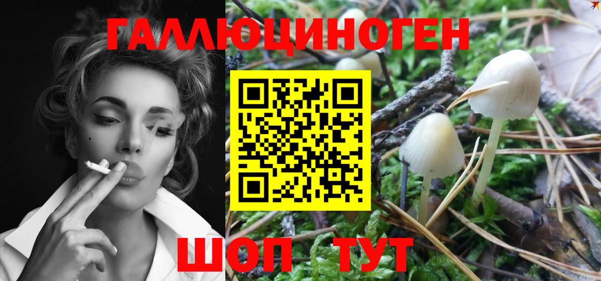Псилоцибиновые грибы GOLDEN TEACHER Новоалтайск
