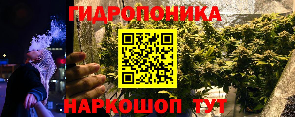 Бошки Шишки SATIVA & INDICA Новоалтайск